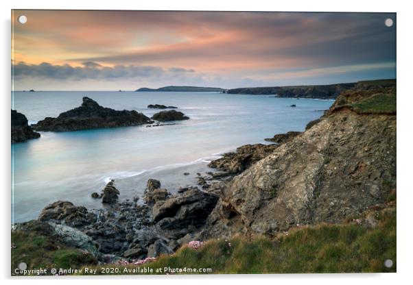Porthcothan Bay at sunset Acrylic by Andrew Ray