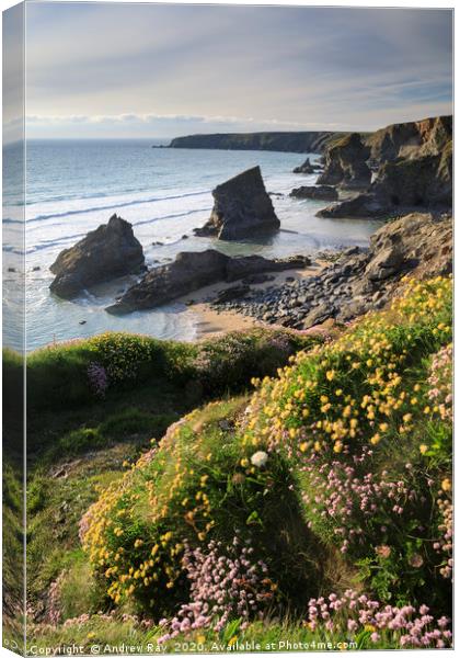 Spring flowers above Bedruthan Beach Canvas Print by Andrew Ray