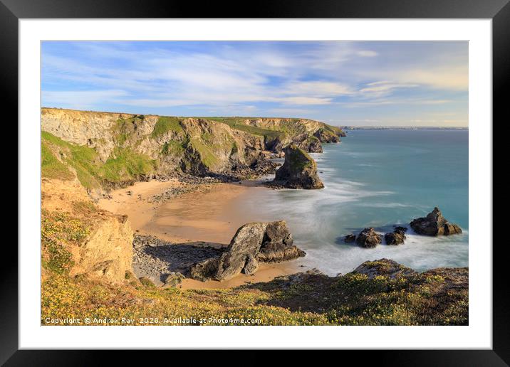 Spring flora (Bedruthan Steps) Framed Mounted Print by Andrew Ray