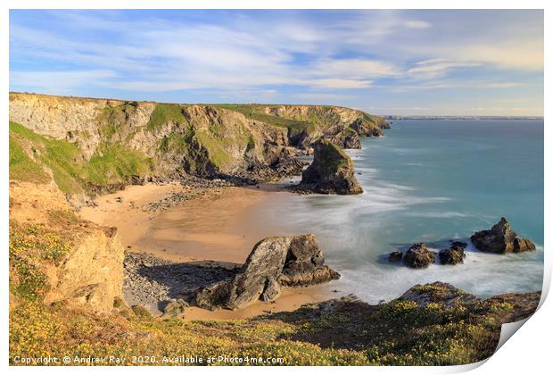 Spring flora (Bedruthan Steps) Print by Andrew Ray
