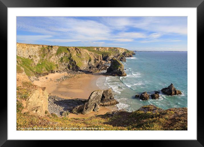 Spring flowers (Bedruthan Steps) Framed Mounted Print by Andrew Ray