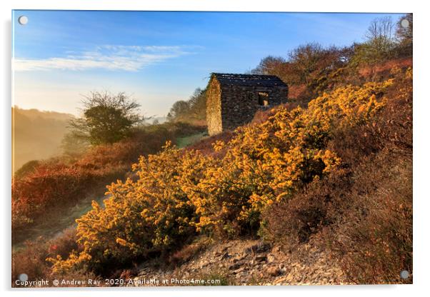 Gorse and barn (Carnon Valley) Acrylic by Andrew Ray