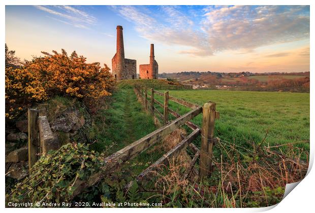 Wheal Unity Wood Engine Houses at first light Print by Andrew Ray