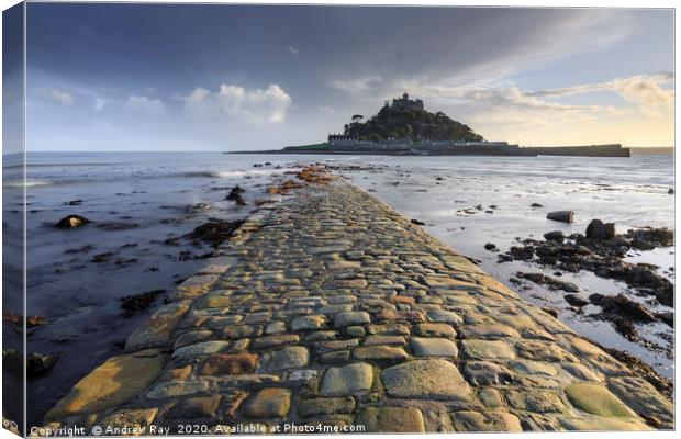 Evening at St Michael's Mount Canvas Print by Andrew Ray