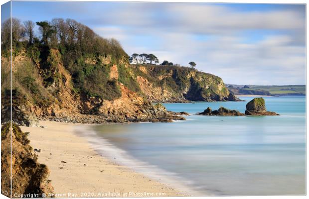 Duporth Beach and Polmear Island Canvas Print by Andrew Ray