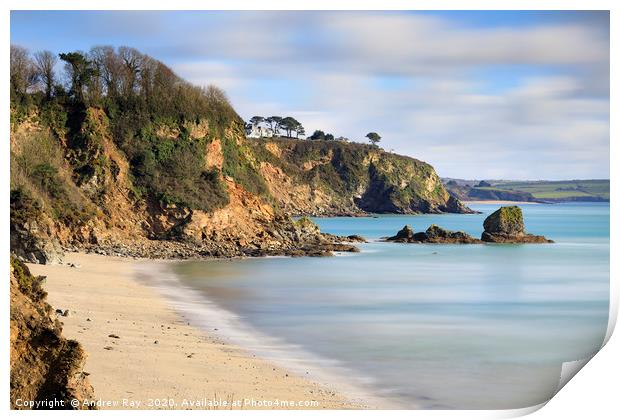 Duporth Beach and Polmear Island Print by Andrew Ray