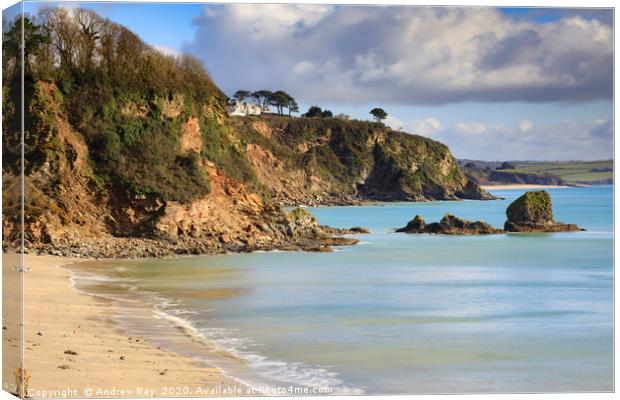 Duporth Beach Canvas Print by Andrew Ray