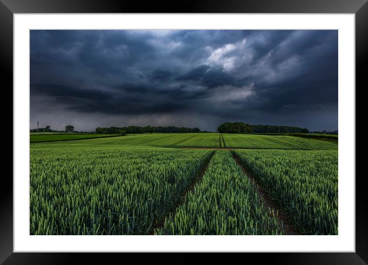 Wheat Crop Thunderstorm near Harrogate Framed Mounted Print by John Finney