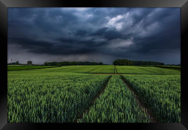 Wheat Crop Thunderstorm near Harrogate Framed Print by John Finney