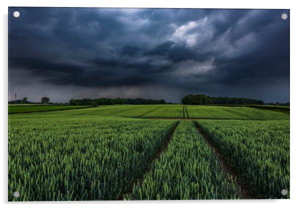 Wheat Crop Thunderstorm near Harrogate Acrylic by John Finney