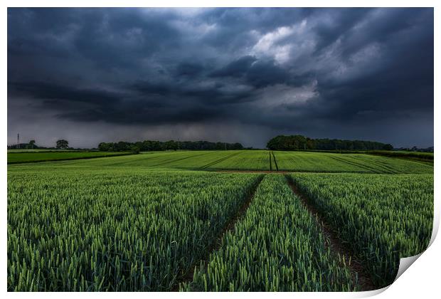 Wheat Crop Thunderstorm near Harrogate Print by John Finney