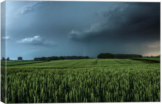 North Yorkshire Lightning over Crops Canvas Print by John Finney