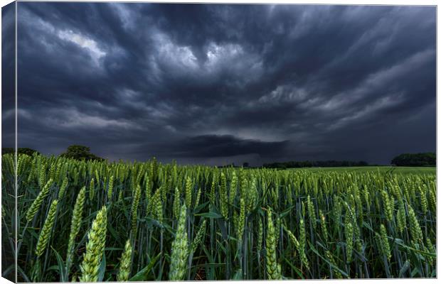 North Yorkshire Supercell over Wheat Crops Canvas Print by John Finney