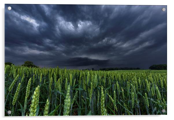 North Yorkshire Supercell over Wheat Crops Acrylic by John Finney