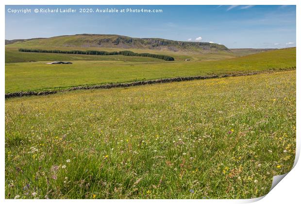  Wild Flower Meadow at Birk Rigg , Teesdale Print by Richard Laidler