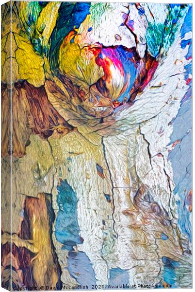    Art in Trees    (2)                         Canvas Print by David Mccandlish