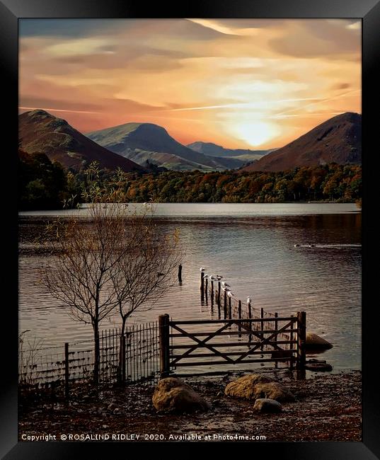 "Portrait of Derwentwater" Framed Print by ROS RIDLEY