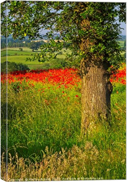 Poppy Landcape in County Durham Canvas Print by Martyn Arnold
