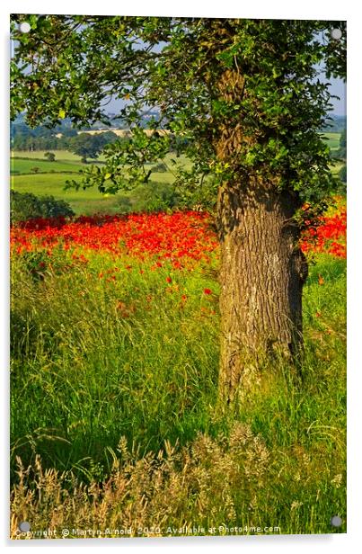 Poppy Landcape in County Durham Acrylic by Martyn Arnold