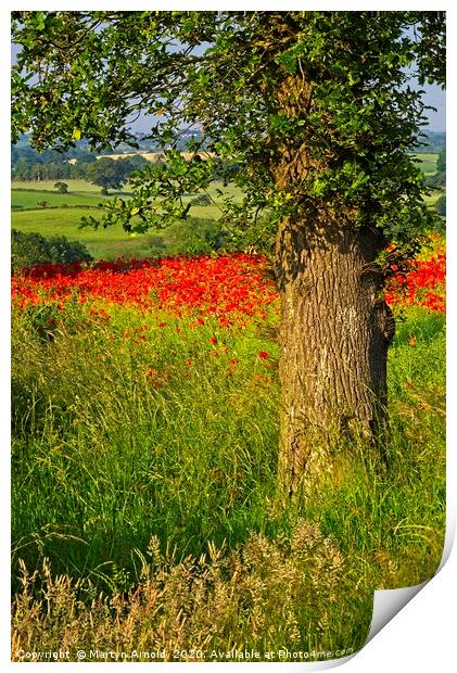 Poppy Landcape in County Durham Print by Martyn Arnold