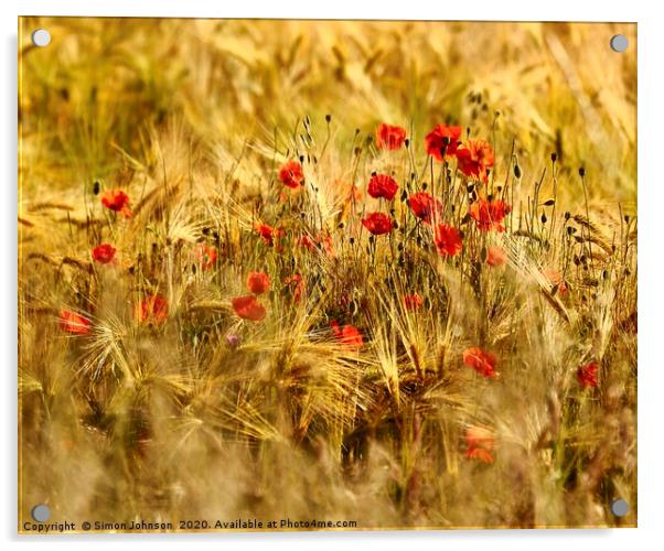 Poppies in Corn Acrylic by Simon Johnson
