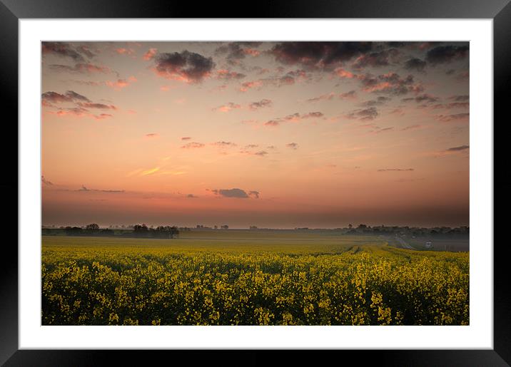 Dawn over the oil seed Framed Mounted Print by Stephen Mole