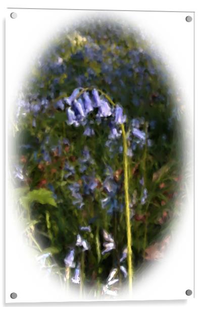 Painted bluebell Acrylic by Doug McRae