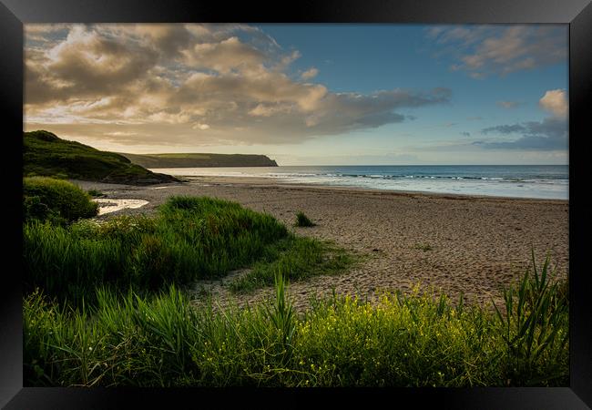 Nare Head and Pendower Beach Framed Print by Michael Brookes