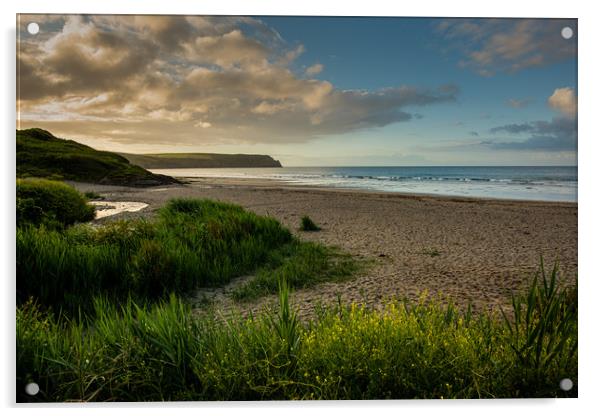 Nare Head and Pendower Beach Acrylic by Michael Brookes
