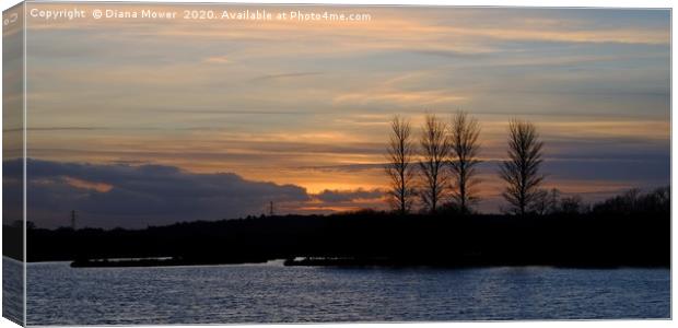 Abberton Reservoir Sunset Canvas Print by Diana Mower