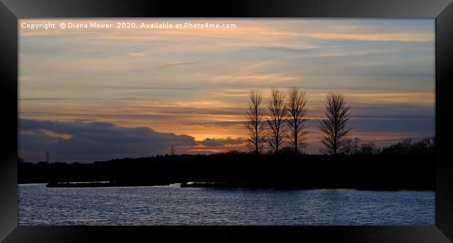 Abberton Reservoir Sunset Framed Print by Diana Mower