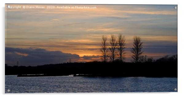 Abberton Reservoir Sunset Acrylic by Diana Mower