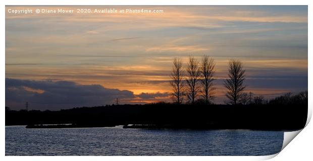 Abberton Reservoir Sunset Print by Diana Mower