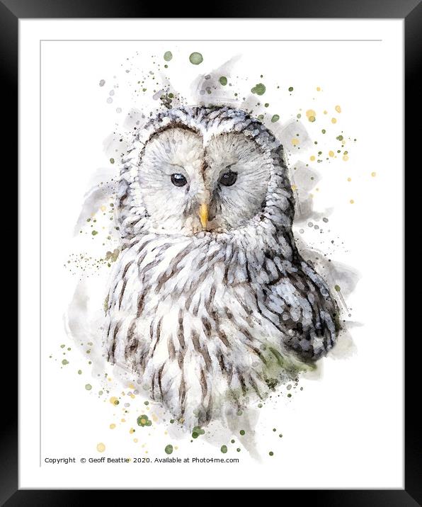 Ural Owl  Framed Mounted Print by Geoff Beattie