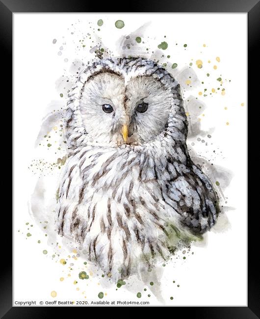 Ural Owl  Framed Print by Geoff Beattie