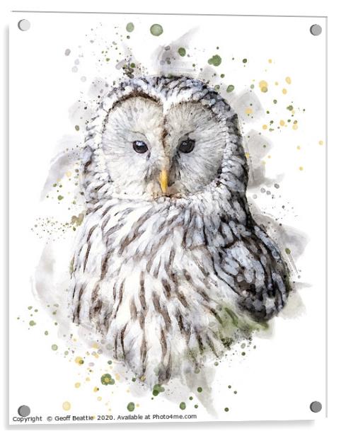 Ural Owl  Acrylic by Geoff Beattie