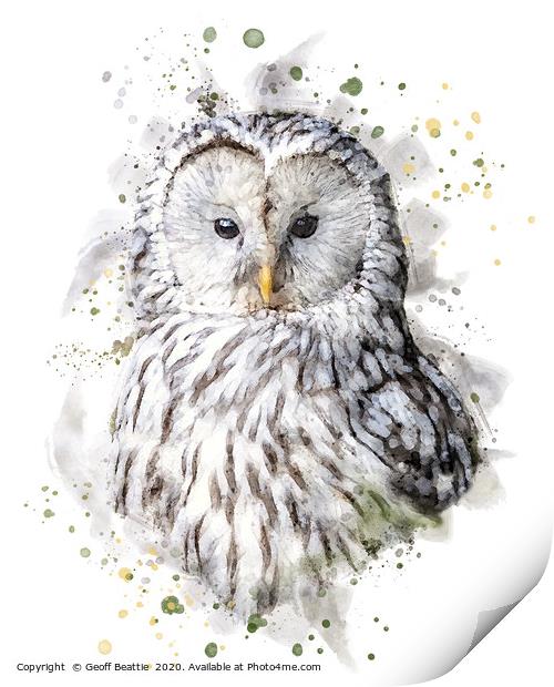 Ural Owl  Print by Geoff Beattie