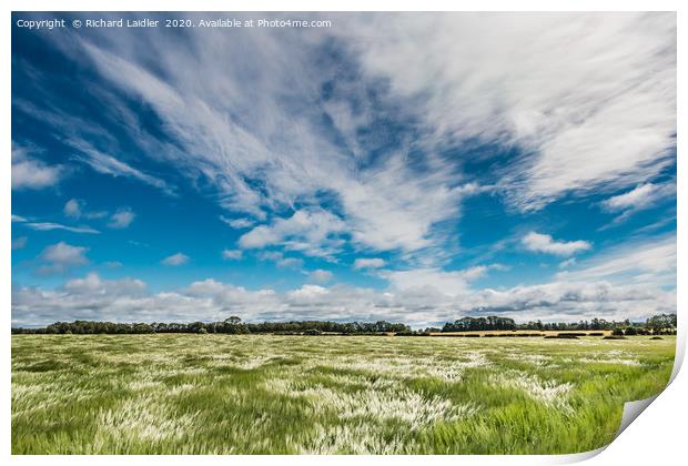 Blustery Barley Print by Richard Laidler