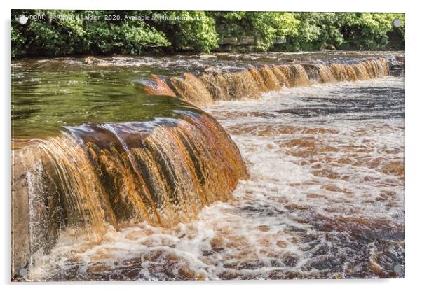 Whorlton Cascades in Flood, Teesdale Acrylic by Richard Laidler