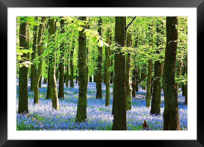Blue and Green Framed Mounted Print by Ian Jeffrey