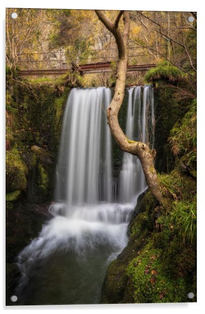 Alva Glen Waterfall Acrylic by Miles Gray