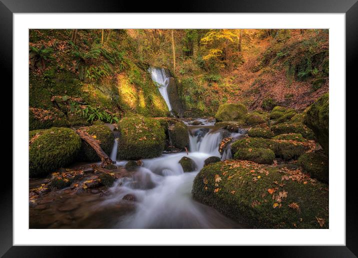 Autumn in Alva Glen Framed Mounted Print by Miles Gray