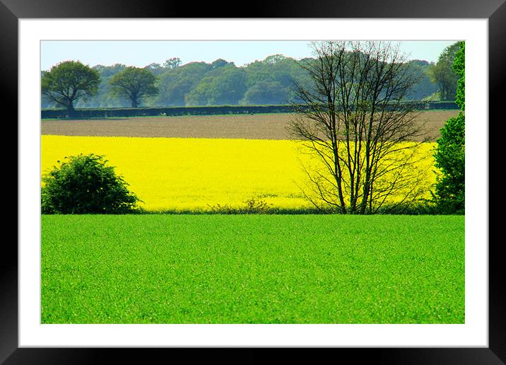 Fields of patterns Framed Mounted Print by David French