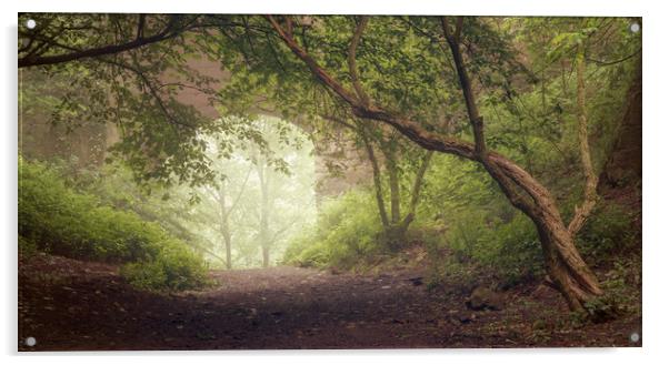 Misty morning at Roslin Glen Acrylic by Miles Gray