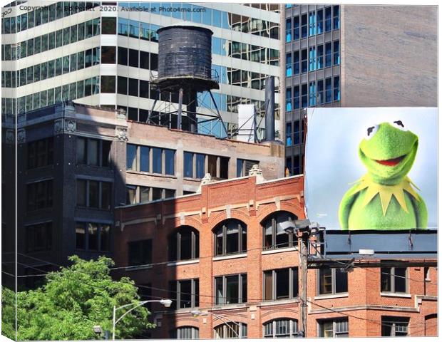 Kermit in Chicago Canvas Print by Ed Pettitt