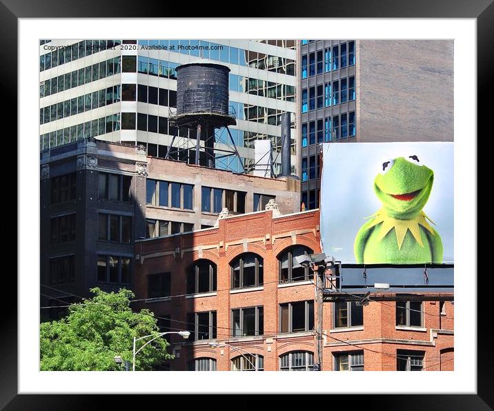 Kermit in Chicago Framed Mounted Print by Ed Pettitt