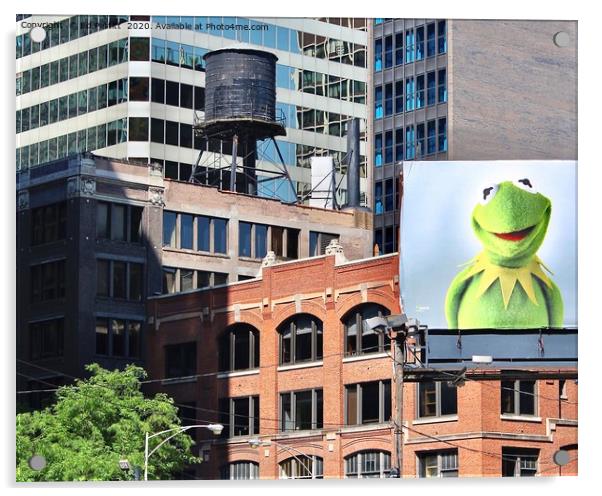 Kermit in Chicago Acrylic by Ed Pettitt