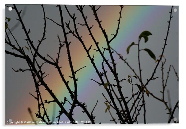 Rainbow Tree Acrylic by Matthew Bates