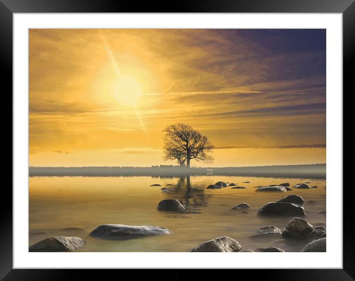 Single tree landscape at dusk at Hannngton, Hampsh Framed Mounted Print by Simon Marlow