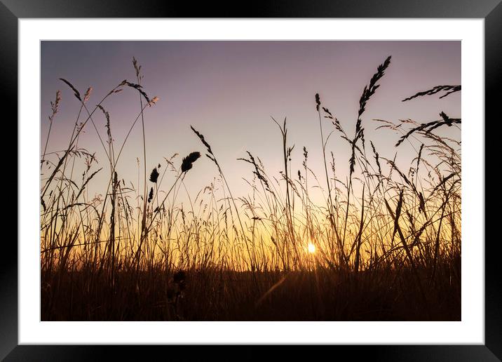 Grassland Sunset Framed Mounted Print by Matt Cottam